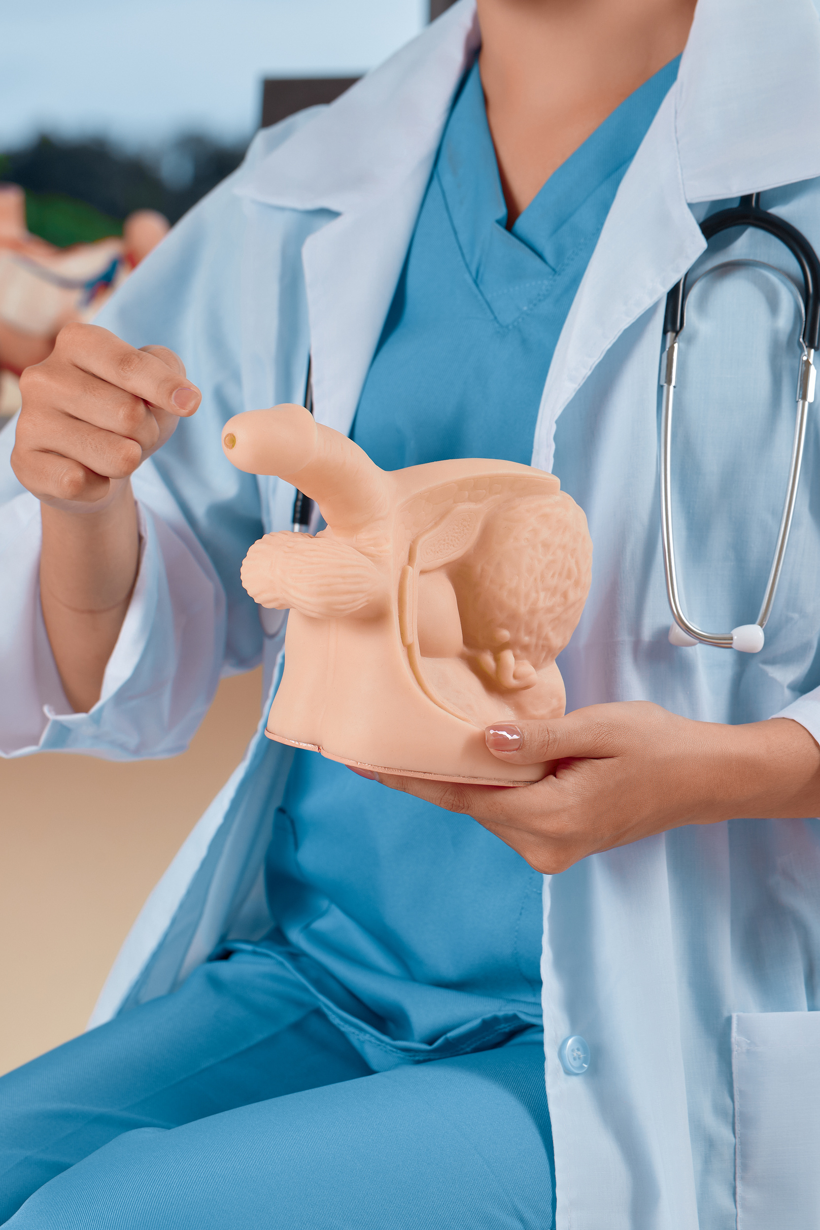 Medical Practitioner Pointing To The Penis
